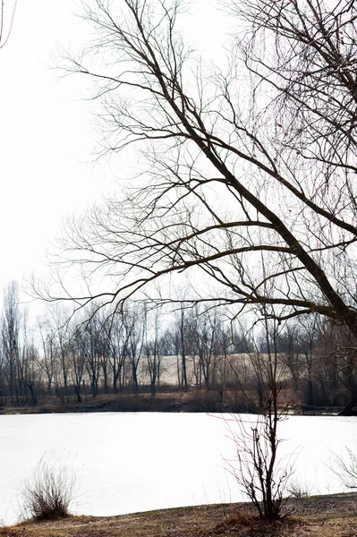 Sfondo naturale con paesaggio primaverile e ghiaccio che si scioglie al lago . — Foto Stock