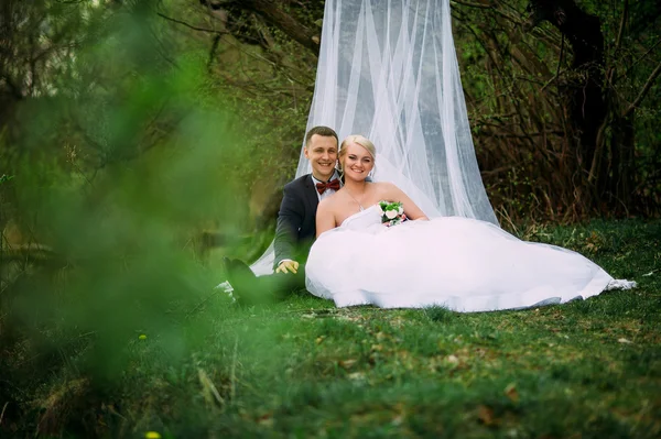 Elegante jovem casal casamento feliz está sentado na grama verde em — Fotografia de Stock