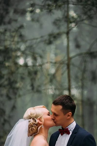 Noiva e noivo no dia do casamento abraçando ao ar livre na natureza da primavera — Fotografia de Stock
