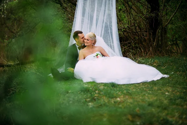 Elegáns esküvői fiatal pár ül a zöld fű — Stock Fotó