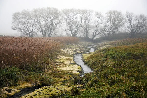 Paysage à la fin de l'automne — Photo