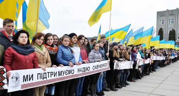 Мітинг на підтримку надії Savchenko_3 — стокове фото