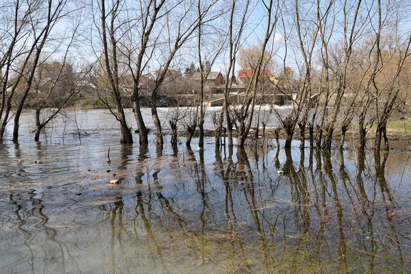 Spring flooding on the river — Stock Photo, Image