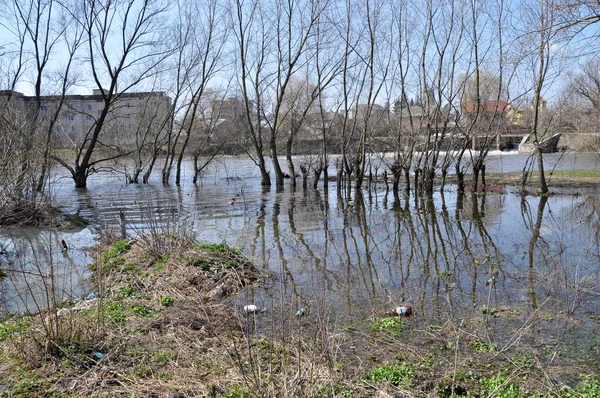 春の river_2 の洪水 — ストック写真