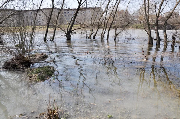 Lente-overstroming van de river_3 — Stockfoto