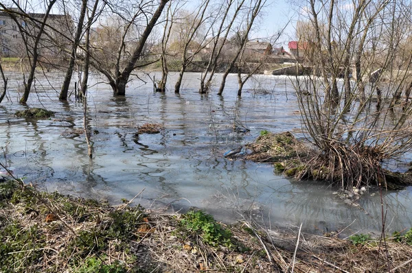 春の river_4 の洪水 — ストック写真