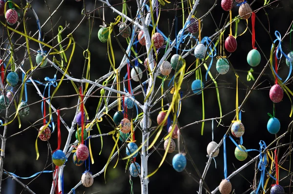 Easter Easter egg tree_4 — Stock Photo, Image