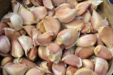 Sarımsak, toprağa ekilmeden önce başlarından ayrılmış..