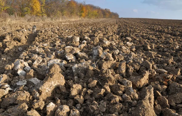 Arado Otoño Con Cantos Rodados Tierra — Foto de Stock