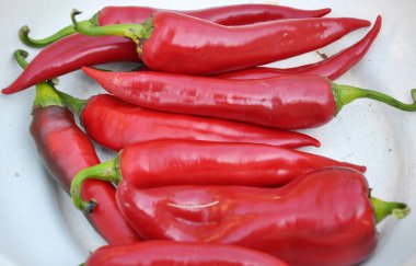 Kırmızı kırmızı kırmızı biber bir kasede yatıyor.