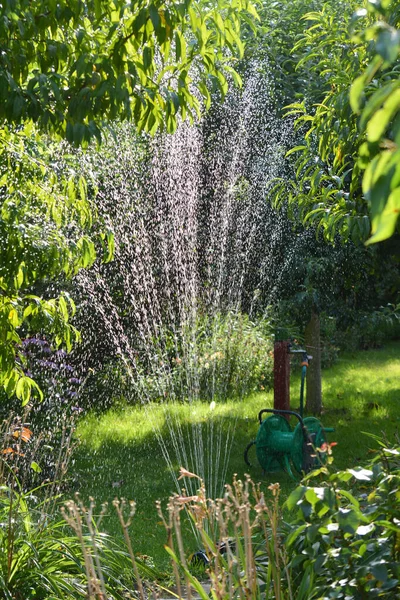 In summer, the garden works a sprinkler system irrigation