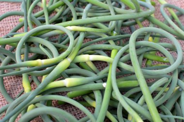 Yığının içinde toplanmış taze sarımsaklı oklar var.