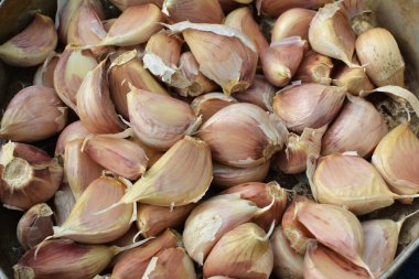 Sarımsak, toprağa ekilmeden önce başlarından ayrılmış..