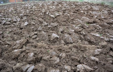 Sonbahar tarlasında toprak kayalarıyla saban sürmek