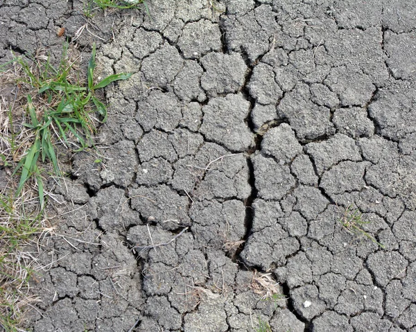 Riss Fruchtbaren Boden Auf Dem Feld Aufgrund Der Hitze — Stockfoto