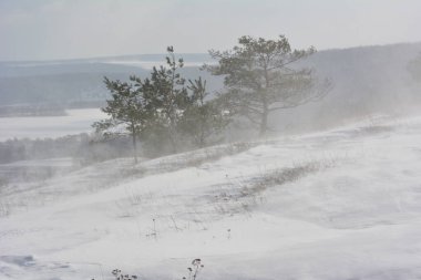 Rüzgarlı, karlı ve karlı kar fırtınası 