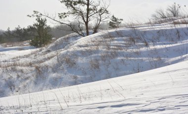 Rüzgarlı, karlı ve karlı kar fırtınası 