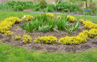 Bahçede çiçek tarhının bir bölümünün tasarımı