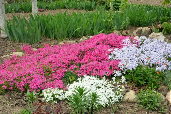 Design Part Flowerbed Garden — Stock Photo, Image