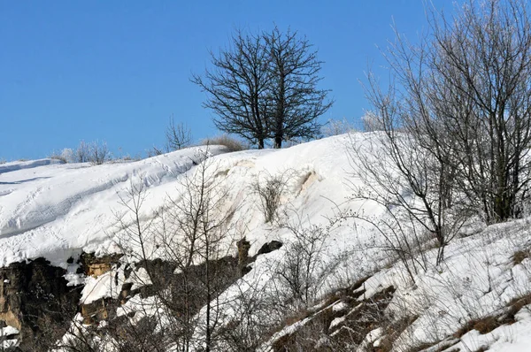 Ventisca Invierno Con Viento Nieve Heladas —  Fotos de Stock