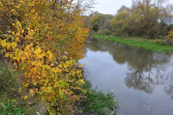 Autumn Landscape Trees Small River — Stock Photo, Image