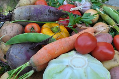 Kırmızı borş pişirmek için sebze seti