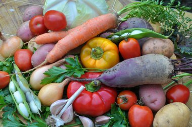 Kırmızı borş pişirmek için sebze seti