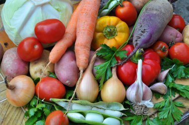 Kırmızı borş pişirmek için sebze seti