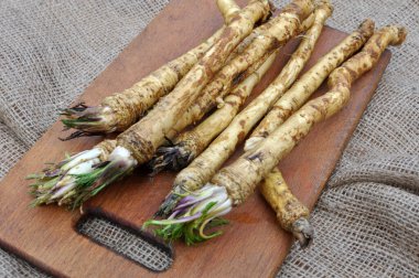 Yığının üzerinde yaprakları olan taze, kazılmış yabanturpu kökü.