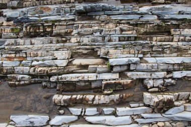 Ukrayna Karpatya 'sında tortulu kaya oluşumlarının kanatları