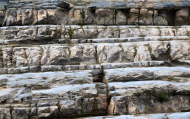 Ukrayna Karpatya 'sında tortulu kaya oluşumlarının kanatları