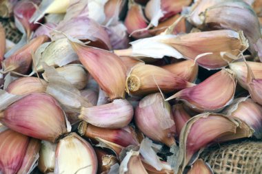 Sarımsak, toprağa ekilmeden önce başlarından ayrılmış..