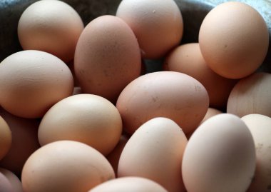 Taze bırakılmış tavuk yumurtaları.