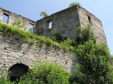 Taş sur Chortkiv castle_4