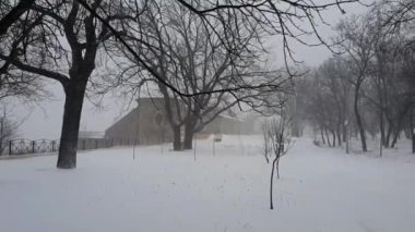 Şehir parkında kış günü. Kar fırtınası. Bütün ülke karla kaplı. Taş bir kulenin silueti ve ağaçların arkasında bir oyun salonu. Rüzgar ön plandaki dalları sallıyor.. 