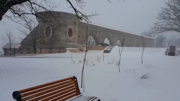 Dia Inverno Parque Cidade Solo Está Coberto Neve Primeiro Plano — Vídeo de Stock