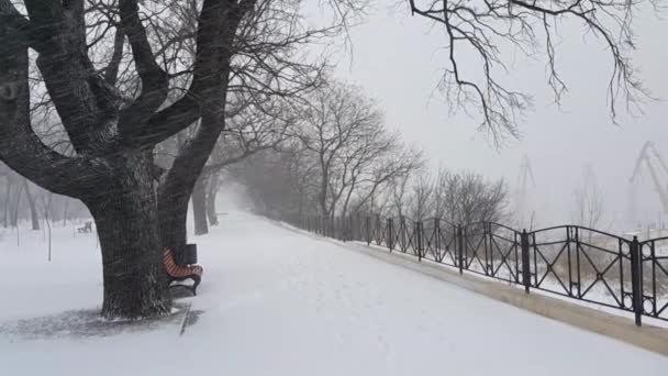 Blizzard Een Leeg Stadspark Bedekt Met Sneeuw Bakboordkranen Zijn Zichtbaar — Stockvideo