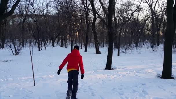 Hiver Dans Parc Adolescent Vêtu Une Veste Rouge Marche Travers Clip Vidéo