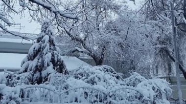 Şehir parkında kış. Parkın girişindeki alan, arka planda ağaçlar ve binalar bol miktarda karla kaplıdır. Rüzgar dalları sallıyor.