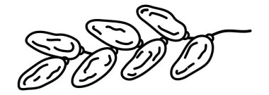 Meyve karalama tasarımıyla çık. Sağlıklı tatlı karalama tadı, saplı hurma çizgisi sanatı.