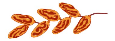 Meyve tasarımı randevusu. Ramazan meyvesi, el yapımı. Terfi, eğitim ve sağlıklı yemek kampanyaları için uygun.