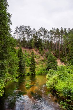 Litvanya 'nın yemyeşil sularından akan sakin nehir