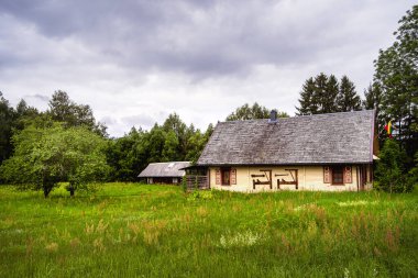 Litvanya 'da yeşil tarlalarla çevrili geleneksel bir ev