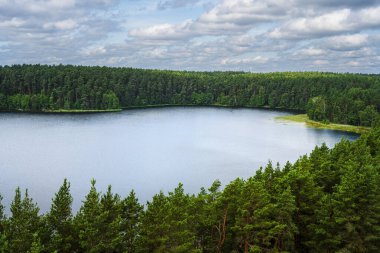 Serene lake surrounded by lush green forest in Lithuania