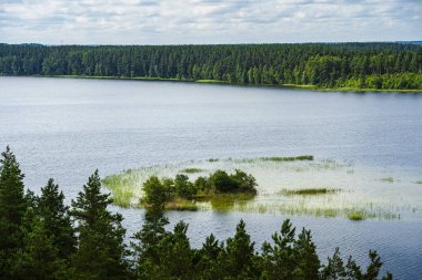 Scenic view of lake and forest in Labanoro region