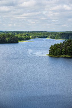 Scenic view of lake in Labanoro regional park