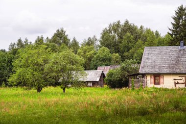 Traditional houses surrounded by green fields in Lithuania