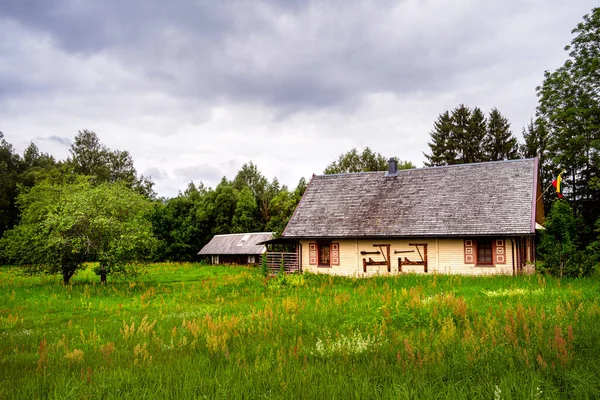 Litvanya 'da yeşil tarlalarla çevrili geleneksel bir ev