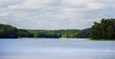 Calm lake surrounded by lush green trees in Lithuania