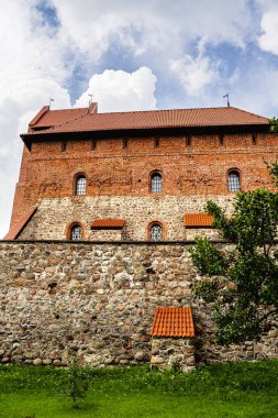Trakai castle surrounded by green grass and trees